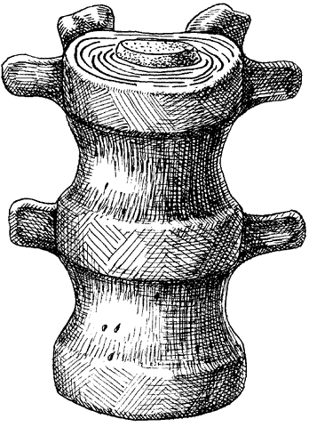 Массаж при артрите - _002.png