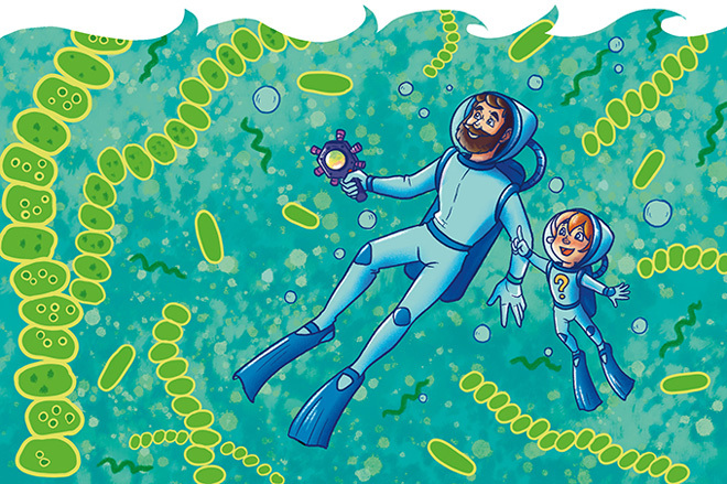 Растения и грибы. Детская энциклопедия - i_008.jpg