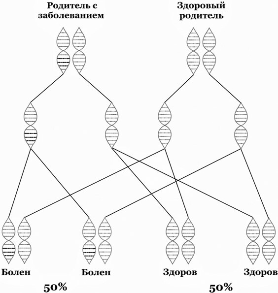 Генетическая лотерея - i_001.jpg