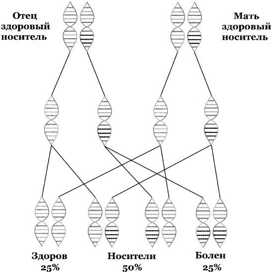 Генетическая лотерея - i_002.jpg