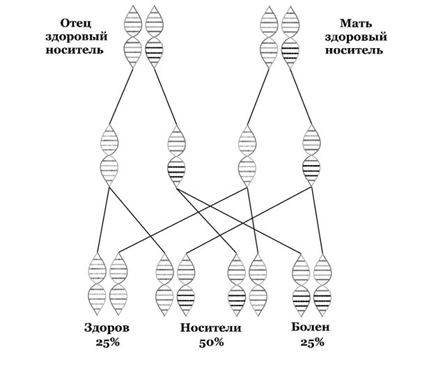 Генетическая лотерея - i_004.jpg