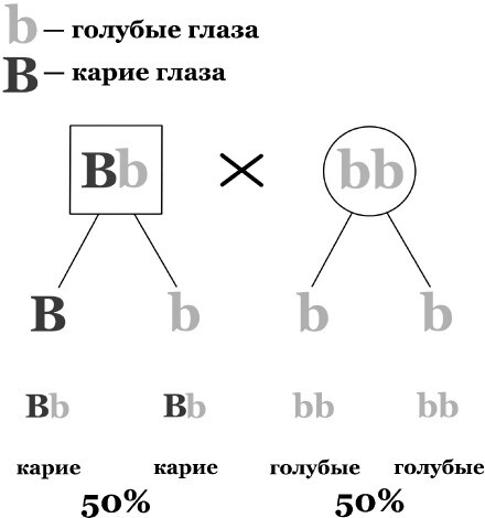 Генетическая лотерея - i_011.jpg