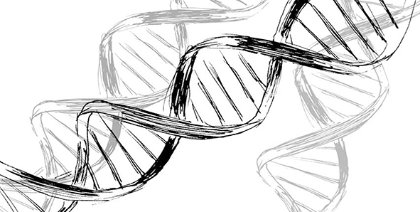 Могу и в валенках - i_001.jpg