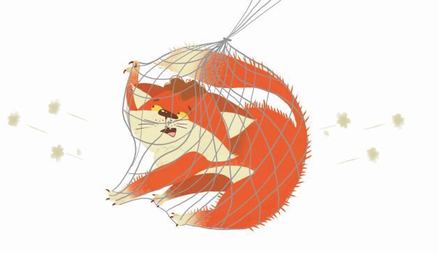 Приключения дракона и кота. Большое путешествие - i_064.jpg