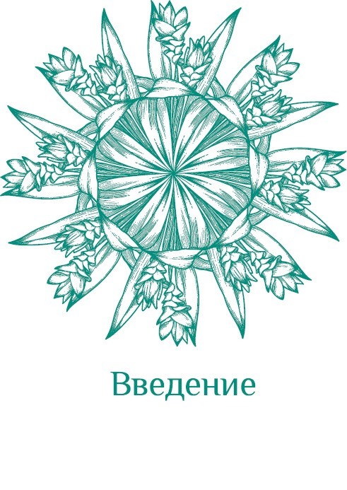 Эволюция – путь во времени: ментальные и телесные техники сохранения молодости и обретения красоты. Взгляд в молодость: система Осьмионика для лица и глаз, комплекс ручных и аппаратных методик - i_002.jpg