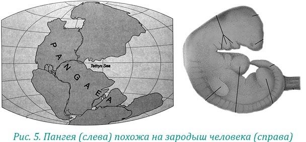 Эволюция – путь во времени: ментальные и телесные техники сохранения молодости и обретения красоты. Взгляд в молодость: система Осьмионика для лица и глаз, комплекс ручных и аппаратных методик - i_011.jpg