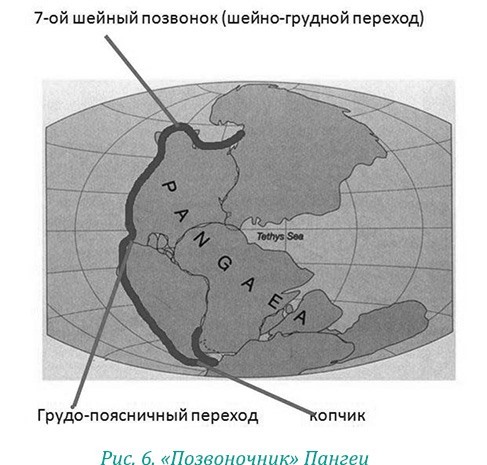 Эволюция – путь во времени: ментальные и телесные техники сохранения молодости и обретения красоты. Взгляд в молодость: система Осьмионика для лица и глаз, комплекс ручных и аппаратных методик - i_012.jpg