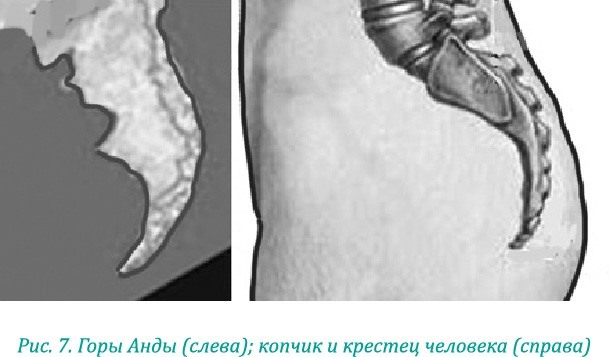 Эволюция – путь во времени: ментальные и телесные техники сохранения молодости и обретения красоты. Взгляд в молодость: система Осьмионика для лица и глаз, комплекс ручных и аппаратных методик - i_013.jpg