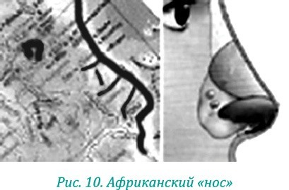 Эволюция – путь во времени: ментальные и телесные техники сохранения молодости и обретения красоты. Взгляд в молодость: система Осьмионика для лица и глаз, комплекс ручных и аппаратных методик - i_016.jpg