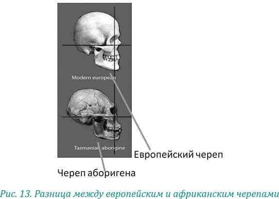 Эволюция – путь во времени: ментальные и телесные техники сохранения молодости и обретения красоты. Взгляд в молодость: система Осьмионика для лица и глаз, комплекс ручных и аппаратных методик - i_019.jpg