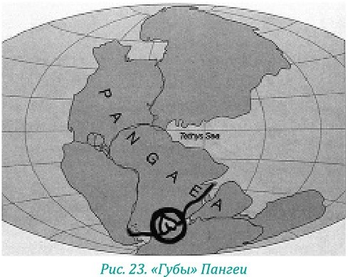 Эволюция – путь во времени: ментальные и телесные техники сохранения молодости и обретения красоты. Взгляд в молодость: система Осьмионика для лица и глаз, комплекс ручных и аппаратных методик - i_029.jpg