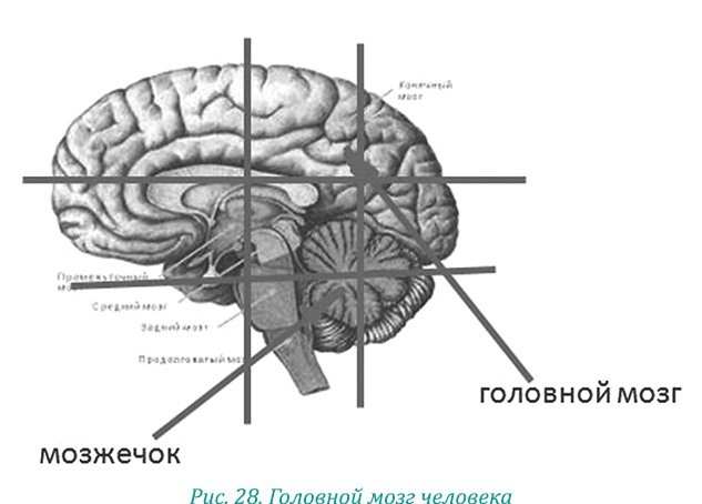 Эволюция – путь во времени: ментальные и телесные техники сохранения молодости и обретения красоты. Взгляд в молодость: система Осьмионика для лица и глаз, комплекс ручных и аппаратных методик - i_034.jpg