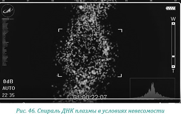 Эволюция – путь во времени: ментальные и телесные техники сохранения молодости и обретения красоты. Взгляд в молодость: система Осьмионика для лица и глаз, комплекс ручных и аппаратных методик - i_055.jpg