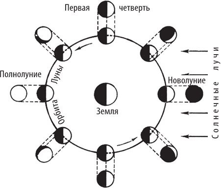 Натальная астрология для каждого. Интерпретация натальной карты просто и понятно - i_018.jpg