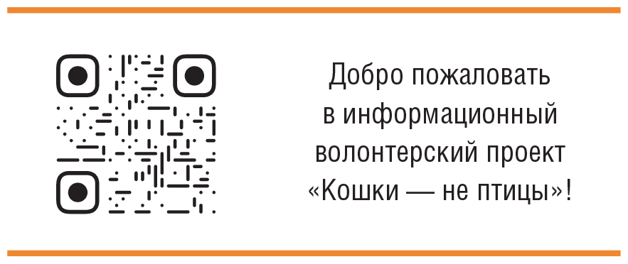 Главная книга владельца кошки - i_243.png