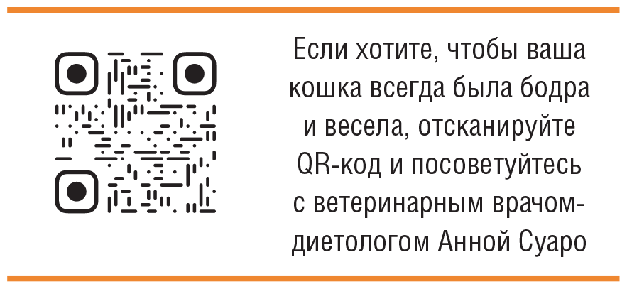 Главная книга владельца кошки - i_244.png