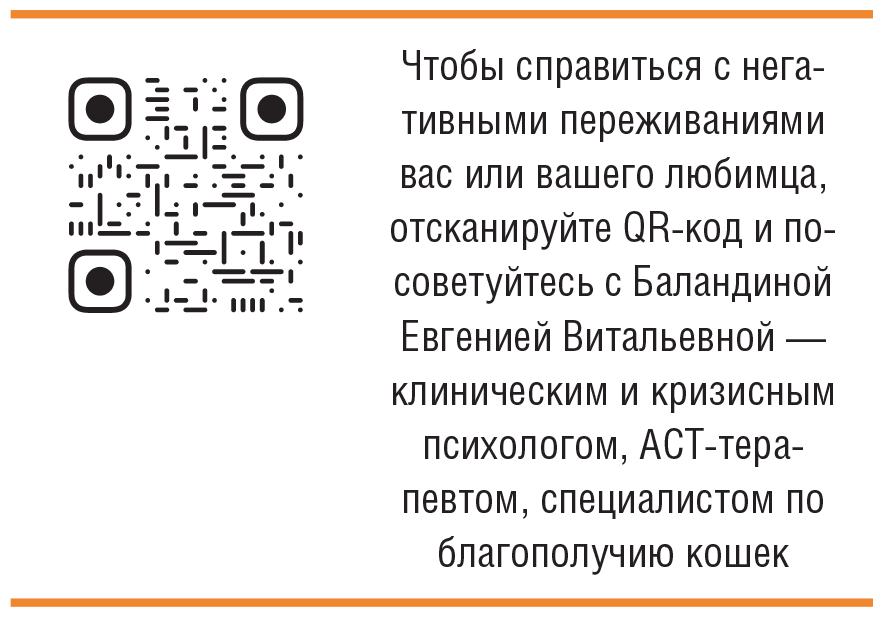 Главная книга владельца кошки - i_246.png