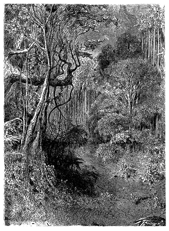 Проступок аббата Муре. Страница любви - i_006.jpg