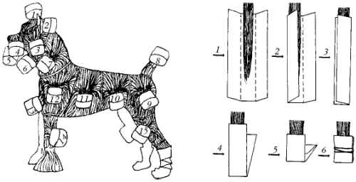 Йоркширский терьер - _008.png