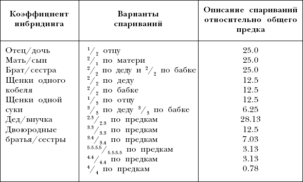 Йоркширский терьер - _010.png