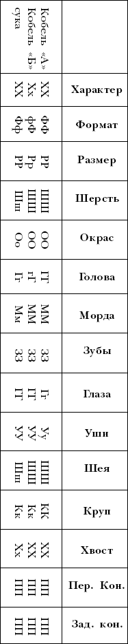 Йоркширский терьер - _012.png