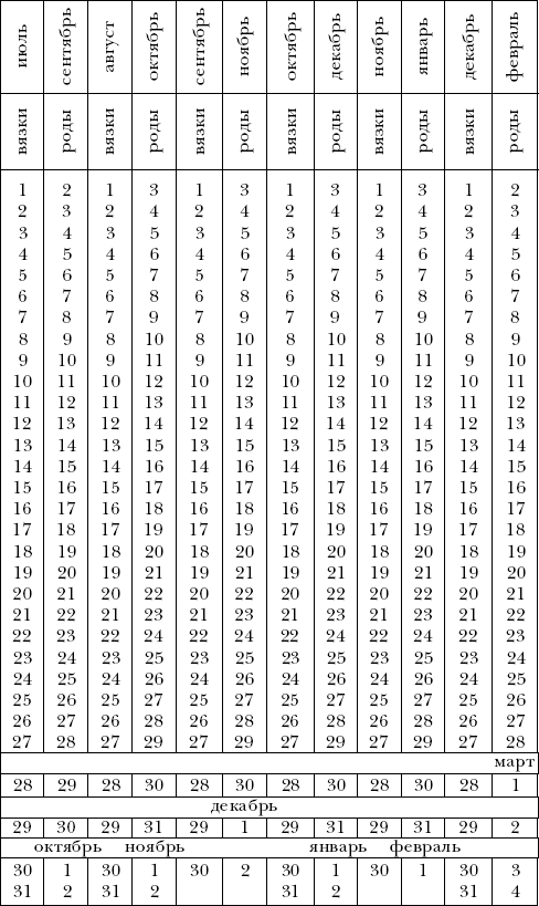 Йоркширский терьер - _018.png