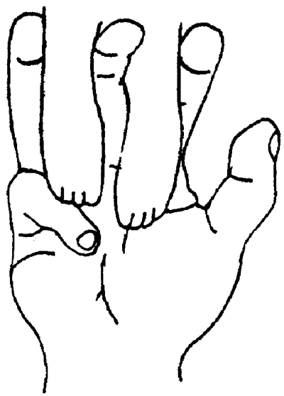 Йоркширский терьер - _021.png