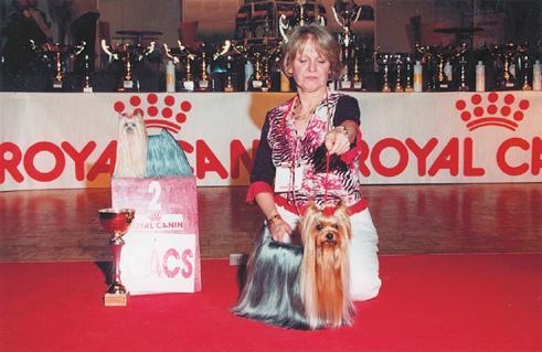 Йоркширский терьер - v07.jpg