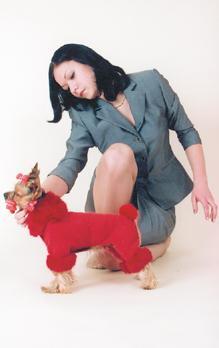 Йоркширский терьер - v17.jpg