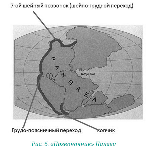 Эволюция – путь во времени: Ментальные и телесные техники сохранения молодости. Квантовая биомеханика тела: Методика оздоровления опорно-двигательного аппарата: Часть 1 - i_014.jpg