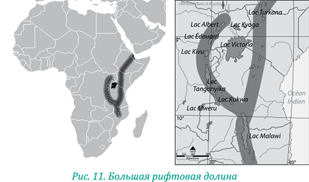 Эволюция – путь во времени: Ментальные и телесные техники сохранения молодости. Квантовая биомеханика тела: Методика оздоровления опорно-двигательного аппарата: Часть 1 - i_019.jpg