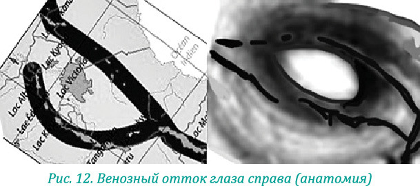 Эволюция – путь во времени: Ментальные и телесные техники сохранения молодости. Квантовая биомеханика тела: Методика оздоровления опорно-двигательного аппарата: Часть 1 - i_020.jpg