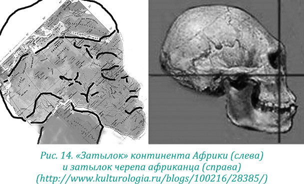 Эволюция – путь во времени: Ментальные и телесные техники сохранения молодости. Квантовая биомеханика тела: Методика оздоровления опорно-двигательного аппарата: Часть 1 - i_022.jpg