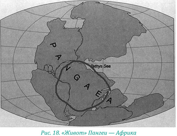 Эволюция – путь во времени: Ментальные и телесные техники сохранения молодости. Квантовая биомеханика тела: Методика оздоровления опорно-двигательного аппарата: Часть 1 - i_026.jpg