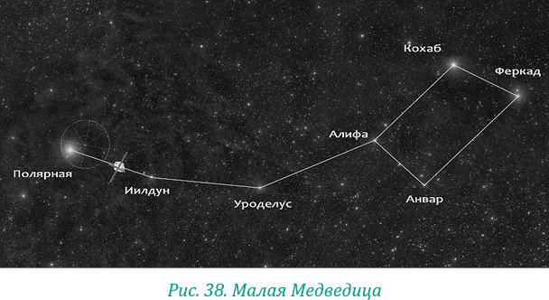 Эволюция – путь во времени: Ментальные и телесные техники сохранения молодости. Квантовая биомеханика тела: Методика оздоровления опорно-двигательного аппарата: Часть 1 - i_050.jpg