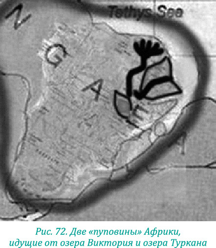 Эволюция – путь во времени: Ментальные и телесные техники сохранения молодости. Квантовая биомеханика тела: Методика оздоровления опорно-двигательного аппарата: Часть 1 - i_085.jpg