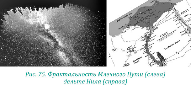 Эволюция – путь во времени: Ментальные и телесные техники сохранения молодости. Квантовая биомеханика тела: Методика оздоровления опорно-двигательного аппарата: Часть 1 - i_088.jpg