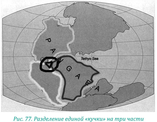Эволюция – путь во времени: Ментальные и телесные техники сохранения молодости. Квантовая биомеханика тела: Методика оздоровления опорно-двигательного аппарата: Часть 1 - i_091.jpg