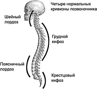 Мама, здравствуй, это я! Методика оздоровления для женщин: подготовка, беременность, роды. Звучание походки: Методика оздоровления спины и обретения красивой осанки - i_025.jpg