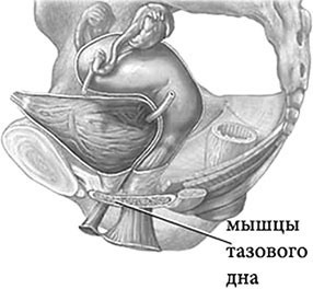 Мама, здравствуй, это я! Методика оздоровления для женщин: подготовка, беременность, роды. Звучание походки: Методика оздоровления спины и обретения красивой осанки - i_051.jpg