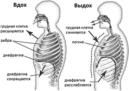 Мама, здравствуй, это я! Методика оздоровления для женщин: подготовка, беременность, роды. Звучание походки: Методика оздоровления спины и обретения красивой осанки - i_053.jpg