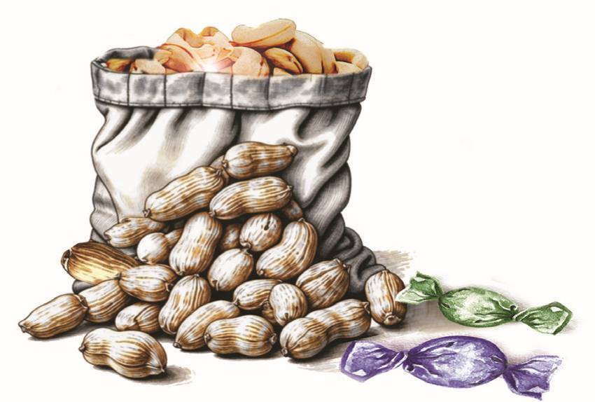 Принцип Волшебства - _1.jpg