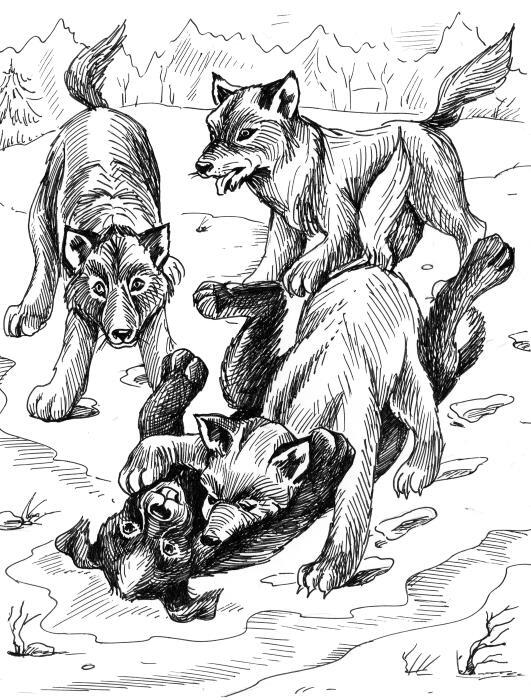 Белолобый. Рассказы для детей - i_006.jpg