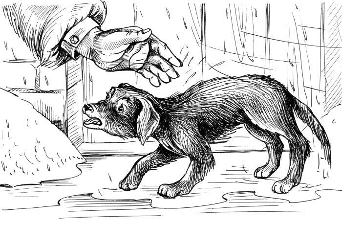 Белолобый. Рассказы для детей - i_010.jpg