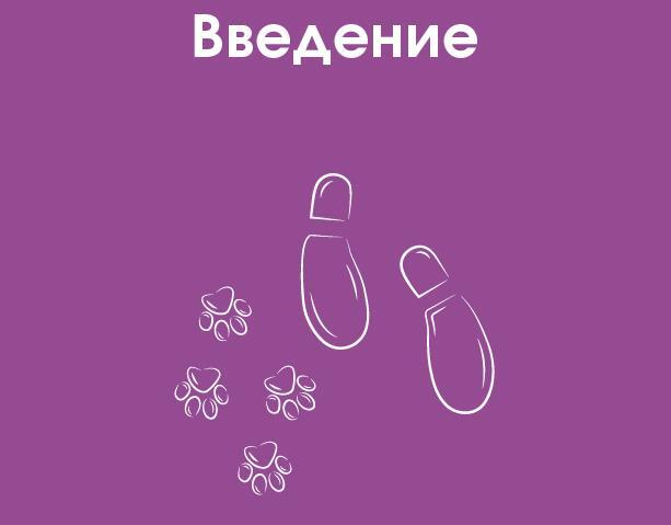 Алгоритмы успешного управления. 30 инструментов уверенного руководителя - i_003.jpg