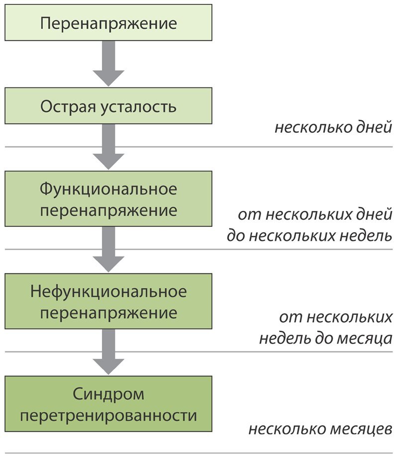 После тренировки. Секреты быстрого и эффективного восстановления - i_001.jpg