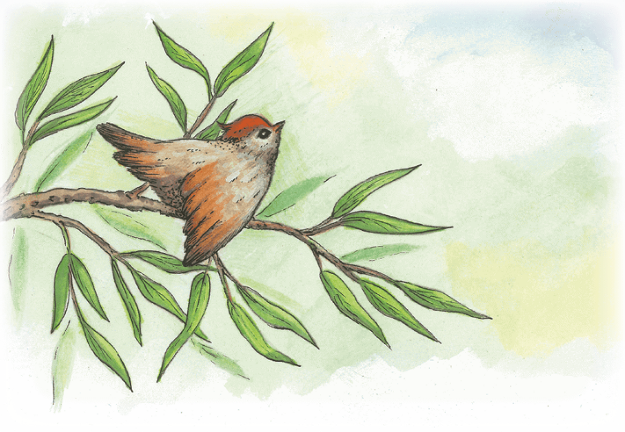 Приключения лягушонка-поэта и феи малышки - i_018.png