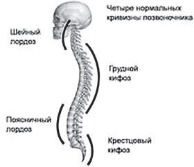 Повернуть время вспять. Система Осьмионика для нижней части лица и шеи - i_001.jpg