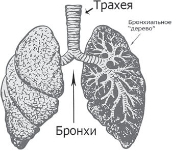 Повернуть время вспять. Система Осьмионика для нижней части лица и шеи - i_008.jpg