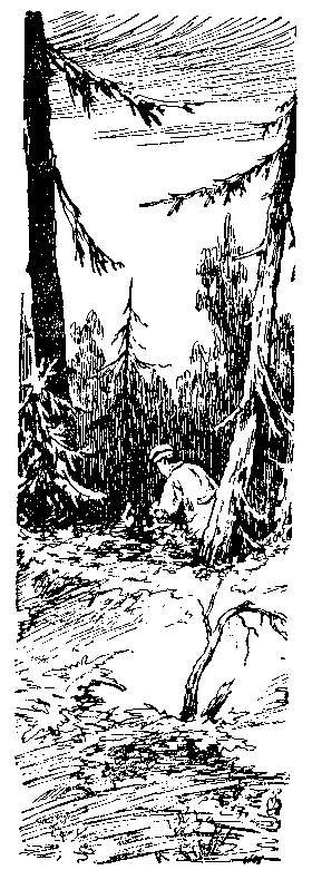 "Библиотечка военных приключений-3". Компиляция. Книги 1-26 (СИ) - i_135.png